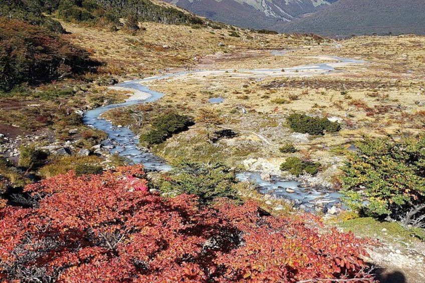 Un río serpentea a través de un paisaje montañoso con follaje de tonos otoñales. 3