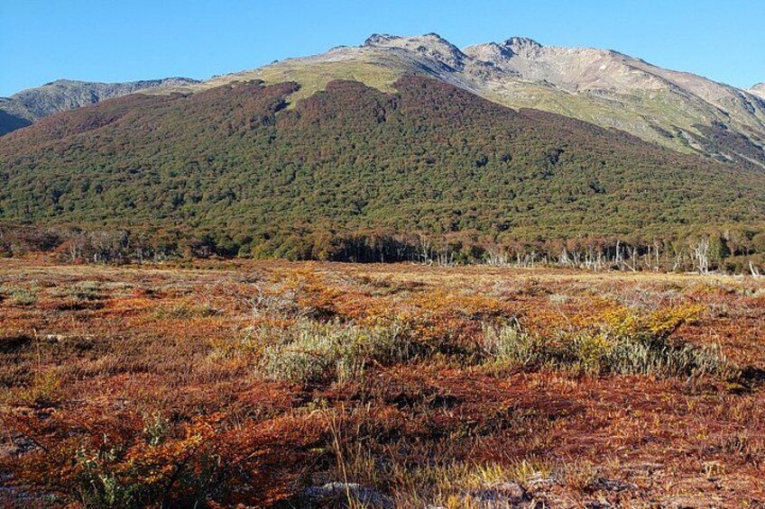 Laguna Esmeralda Hiking Tour with Snack from Ushuaia 5