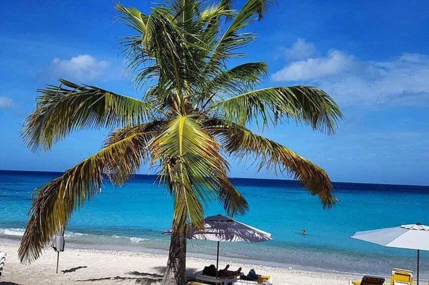 Playa Kenepa-Knip 2