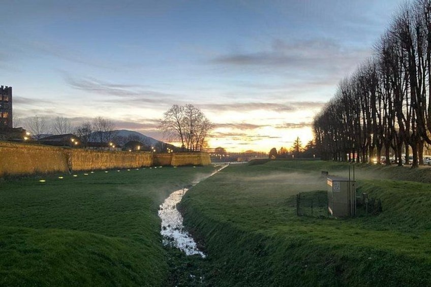 A grassy field with a stream, trees, and a distant building. 4