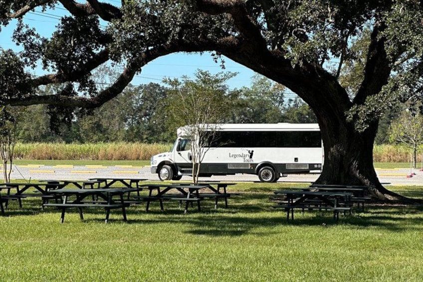 Un autobús blanco con la leyenda 'Legendary Tours' estacionado bajo un gran árbol en un área verde con mesas de picnic. 2