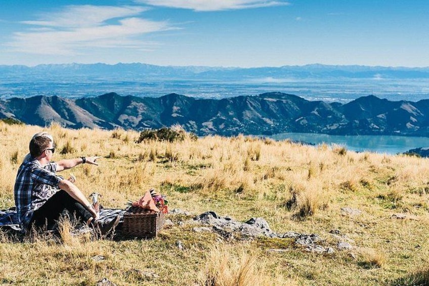 Christchurch Helicopter Picnic 1