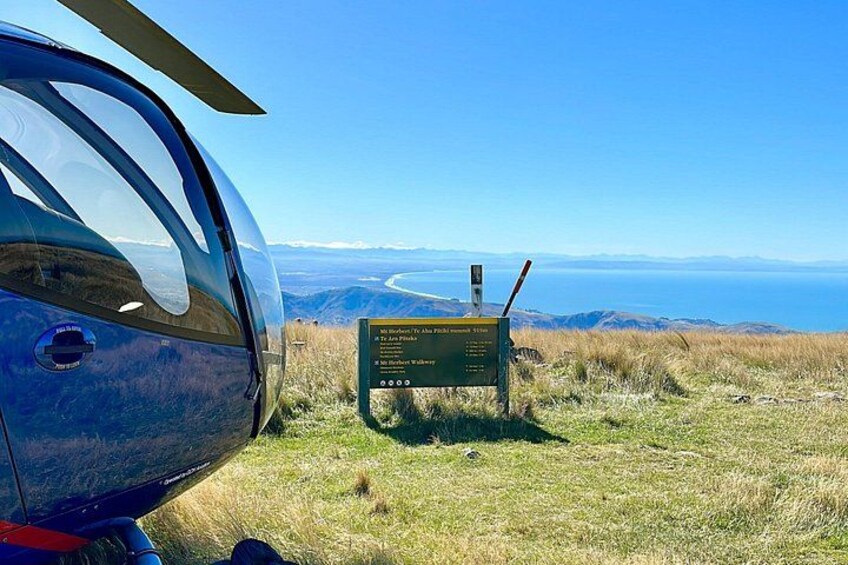 Christchurch Helicopter Picnic 2
