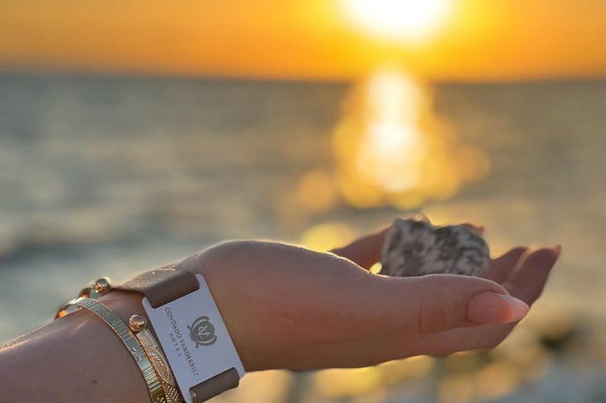 A hand holding a seashell with a sunset in the background. 5