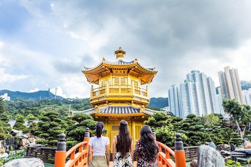 Live Kowloon: Group Tour 1
