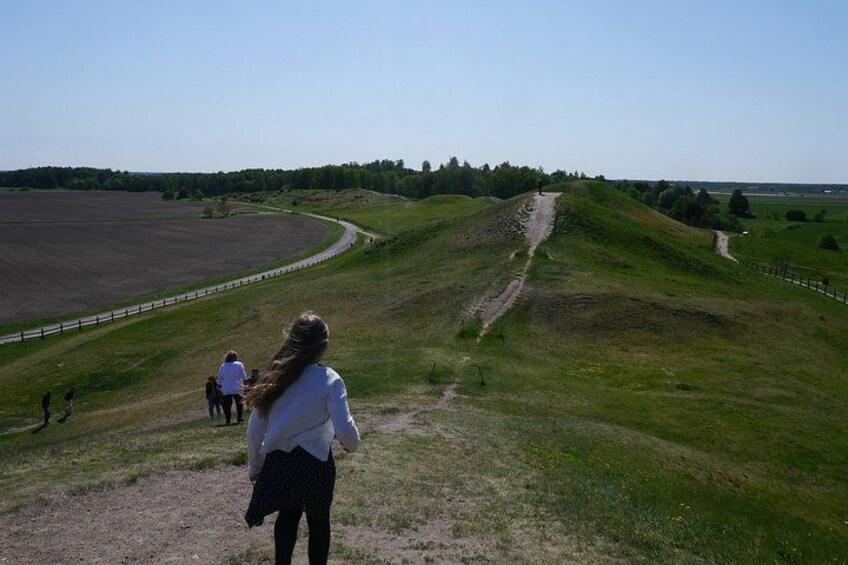 Guided tour 90min at Old Uppsala mounds and old Uppsala church 1