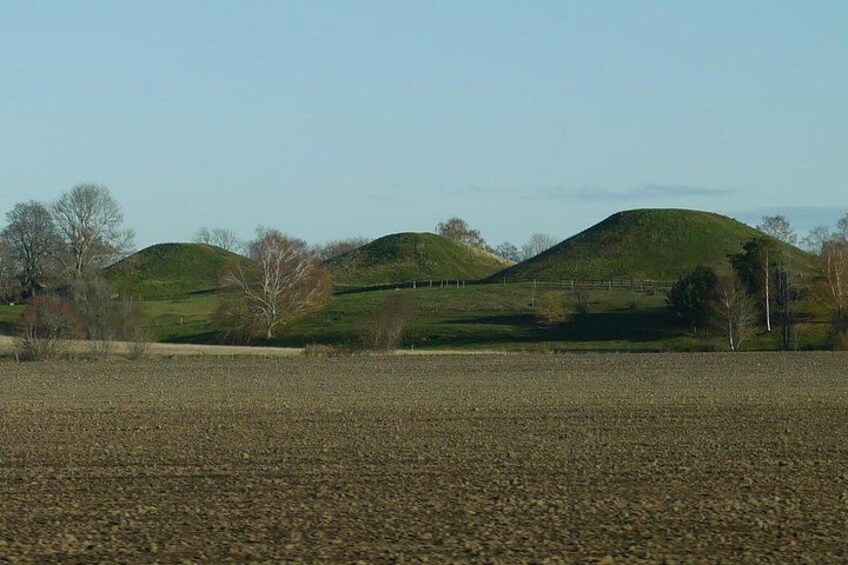 Guided tour 90min at Old Uppsala mounds and old Uppsala church 2