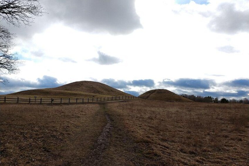 Guided tour 90min at Old Uppsala mounds and old Uppsala church 3