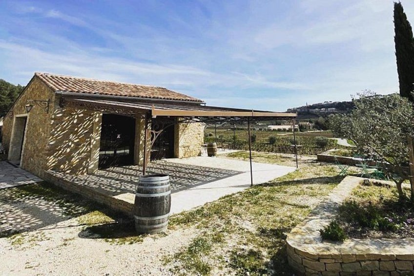 Cellar Visit & Bandol Wine Tasting (in French) 2