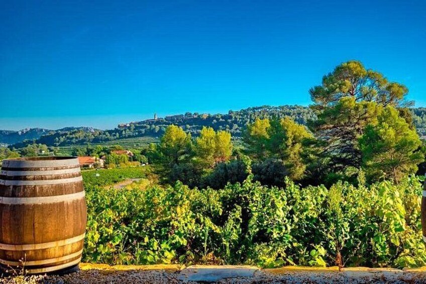 Cellar Visit & Bandol Wine Tasting (in French) 3