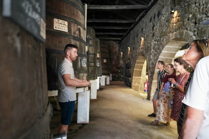 Port Wine Tour | 3 Cellars | 7 Tastings | 12 Participants Maximum 1
