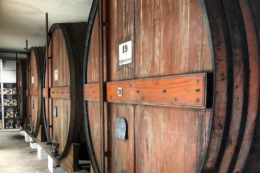 Port Wine Tour | 3 Cellars | 7 Tastings | 12 Participants Maximum 3