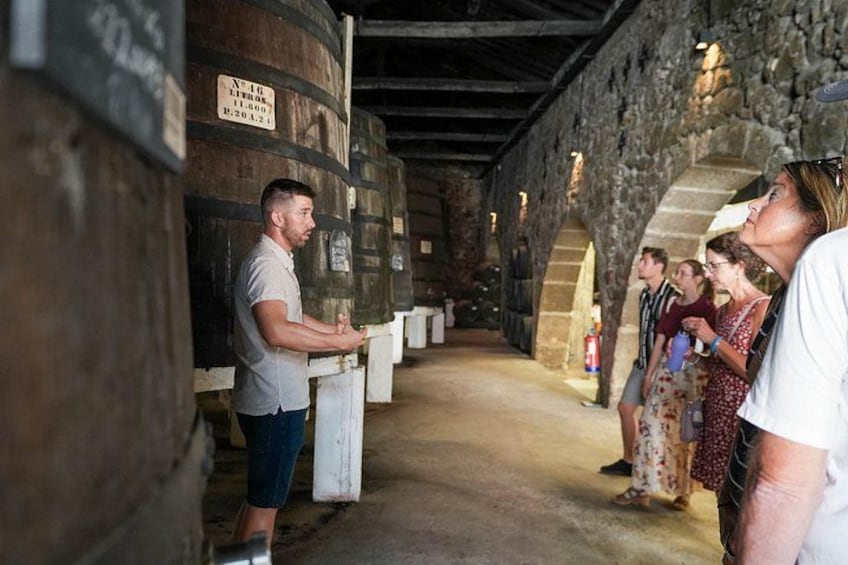 Port Wine Tour | 3 Cellars | 7 Tastings | 12 Participants Maximum 1
