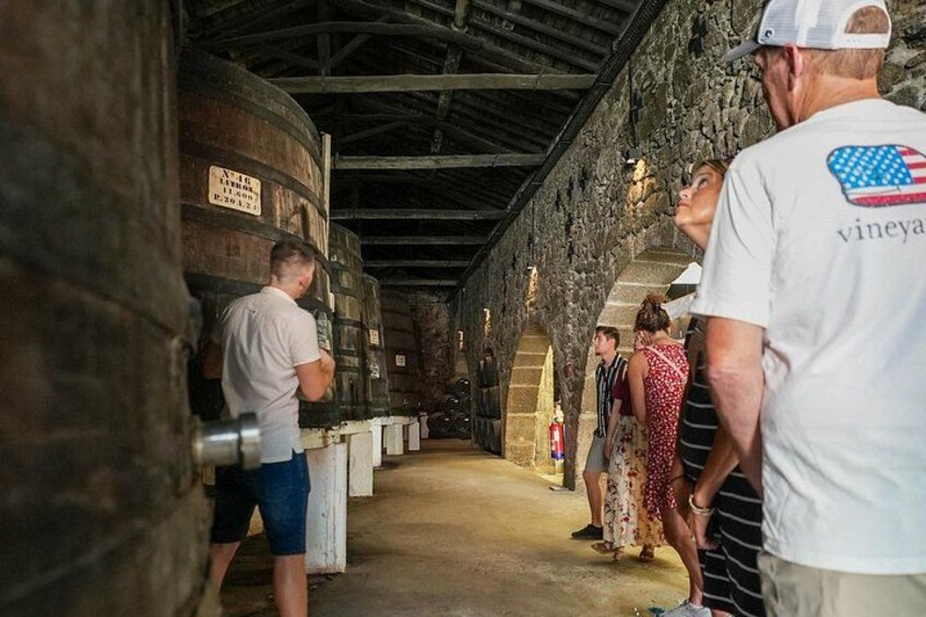 Port Wine Tour | 3 Cellars | 7 Tastings | 12 Participants Maximum 2