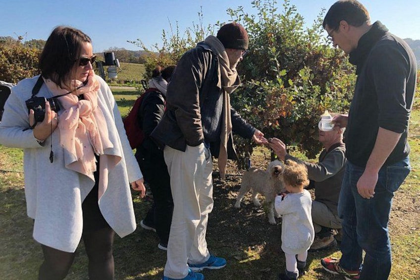 A group of people in an outdoor setting, possibly a vineyard, with a dog and a child interacting with a person. 4