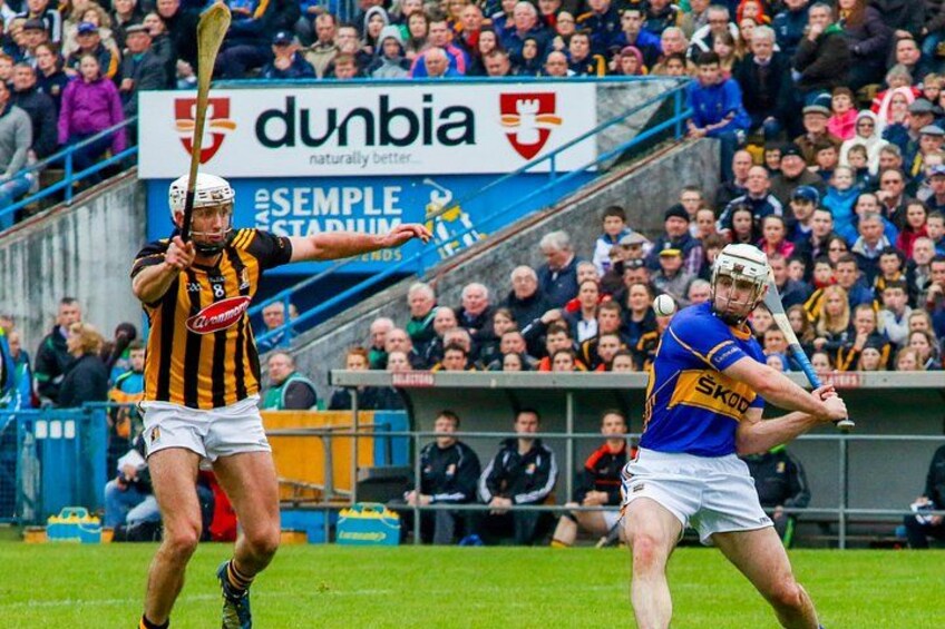 Two players in a hurling match, one in a striped jersey and the other in blue and yellow, with a crowd in the background and a 'dunbia' sign. 2