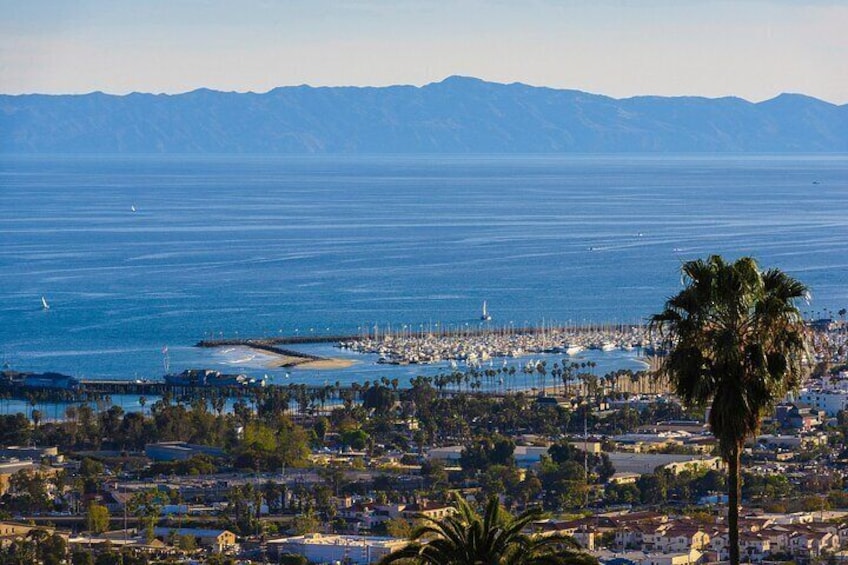 Local's Riviera View 1