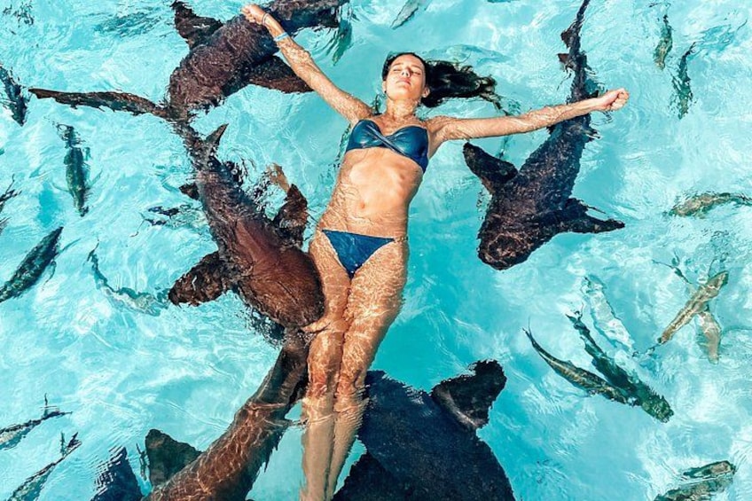 This trip is full of Instagram worthy stops! You have to get a photo like this swimming with the sharks. 3
