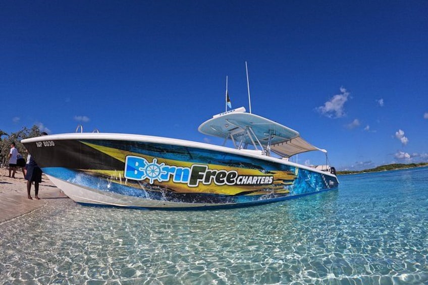 Una lancha rápida con la leyenda 'Born Free Charters' en su lateral, atracada en un muelle con agua azul cristalina y cielo despejado. 2