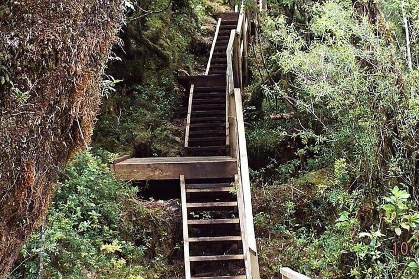 Road to the viewpoint 2