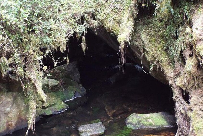 Wet cave 4