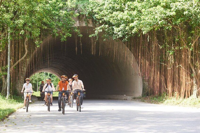 Un gruppo di ciclisti che pedala sotto un tunnel circondato da alberi. 5