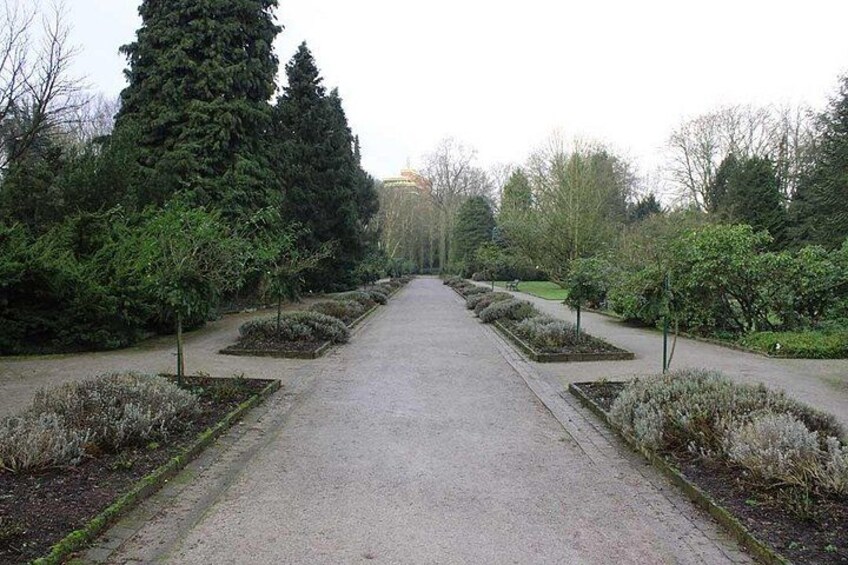 Private audio book city rally around the Rombergpark in Dortmund 4