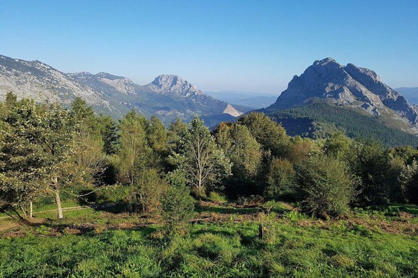 Un paysage montagneux, avec de vastes forêts et un ciel dégagé. 1
