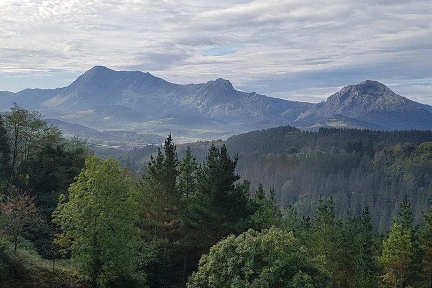Un paysage montagneux, avec de vastes forêts et des sommets lointains. 2