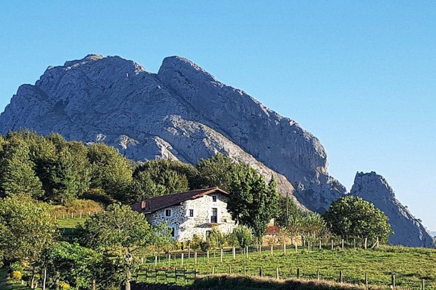 Une maison entourée de vignes et de montagnes. 4