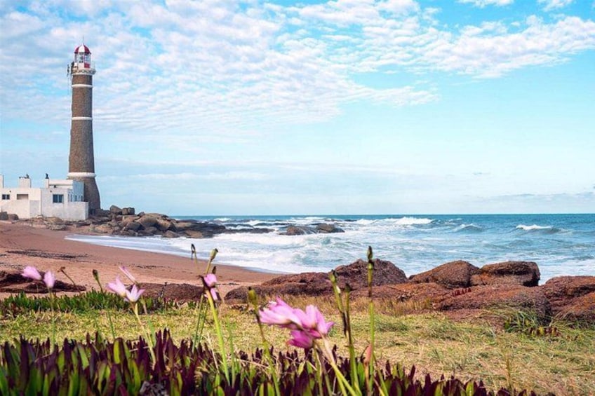 Ein Leuchtturm, felsiger Strand, Meereswellen und rosa Blüten. 4