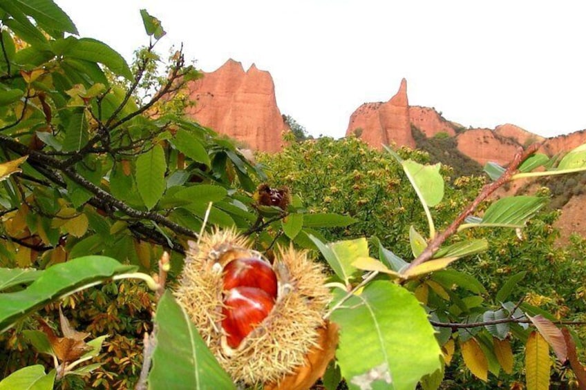 Las Médulas Y Ponferrada