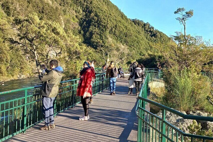 Osorno Volcano Tour + Petrohue Falls