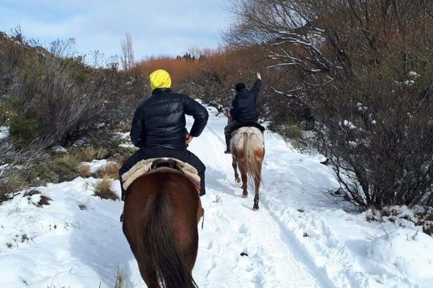 La Fragua Horseback Riding