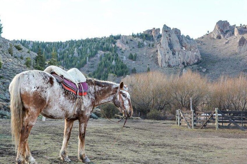 La Fragua Horseback Riding