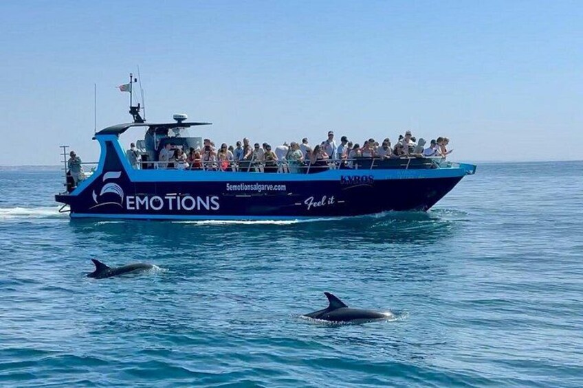 Un barco llamado 'Emotions' con gente a bordo, delfines nadando cerca y un cielo azul despejado. 1