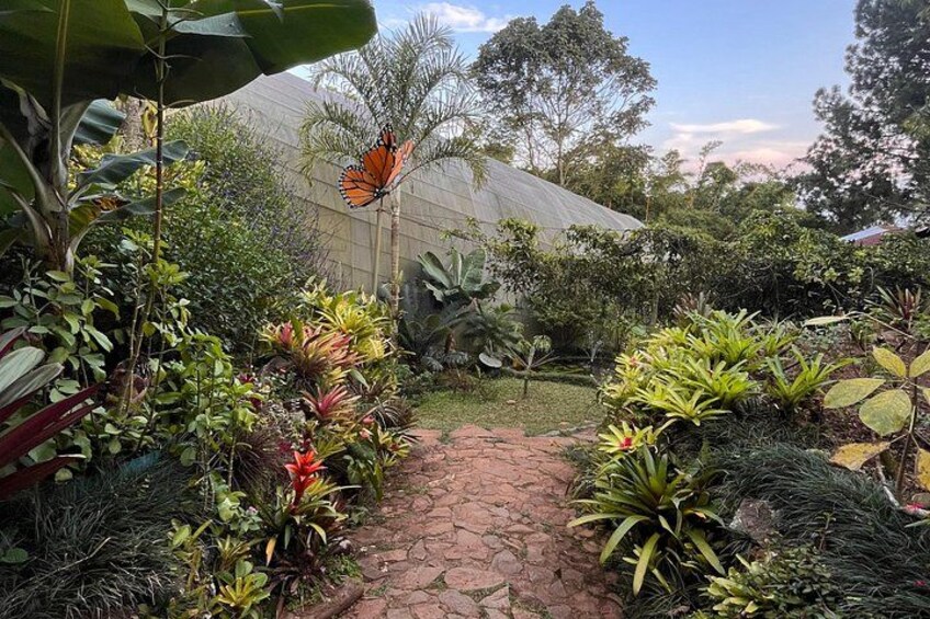Admission to Andoke Butterfly Center in Cali with Release Ritual 2