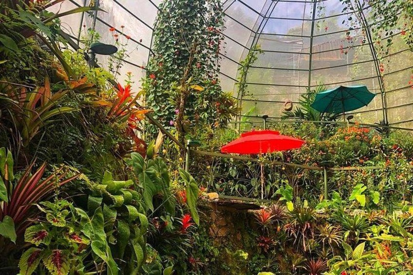 Mariposario 3
