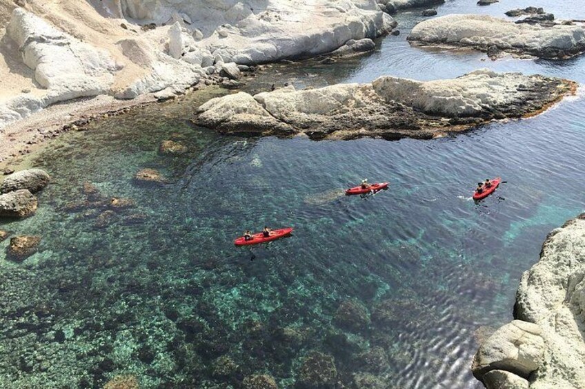 Natural pool 5