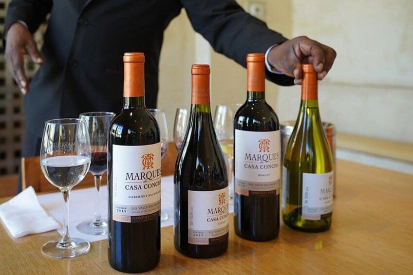 Marquis de Casa Concha: Wine tasting in Concha y Toro 2