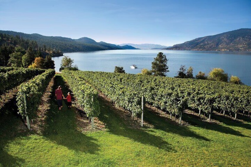 Kelowna Fab 5 & South Slopes Wine Tour