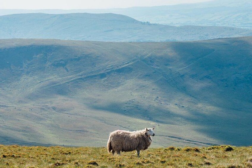 Brecon Beacons Tour App, Hidden Gems Game and Big Britain Quiz (7 Day Pass) UK 4