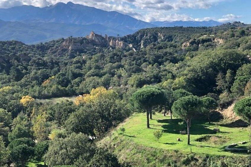 A mountainous landscape with dense forests and a clear sky. 2