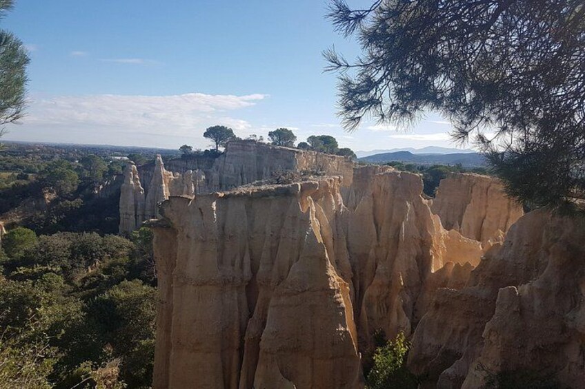 A landscape with prominent sandstone cliffs and a tree in the foreground. 1