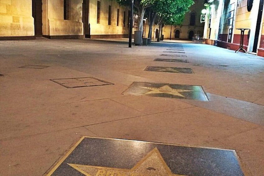 Un sendero pavimentado con diseños en forma de estrella y una arboleda al fondo. 4