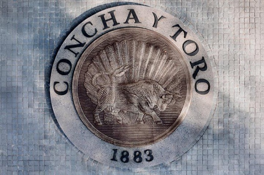 Viña Concha y Toro: Premium Wine Center Tour 3