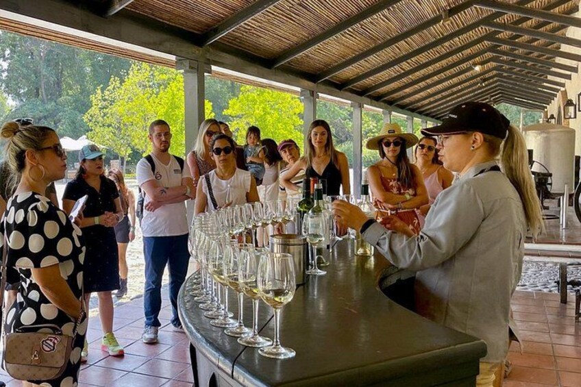 Viña Concha y Toro: Premium Wine Center Tour 2
