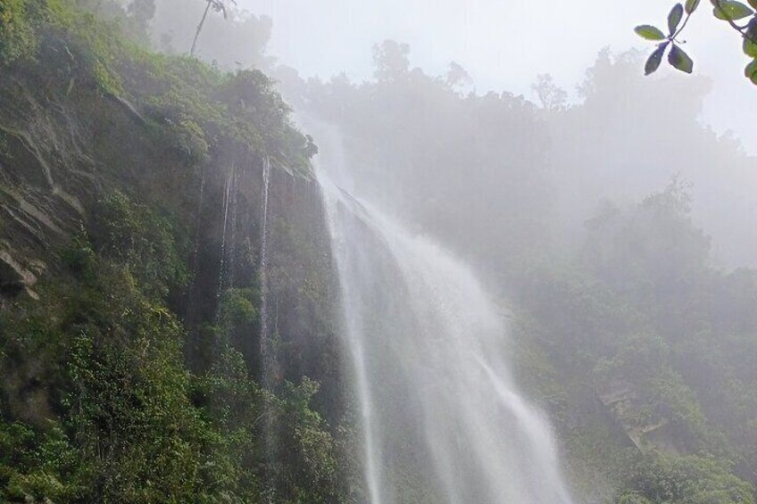 A waterfall cascading down a steep cliff surrounded by dense green foliage. 2