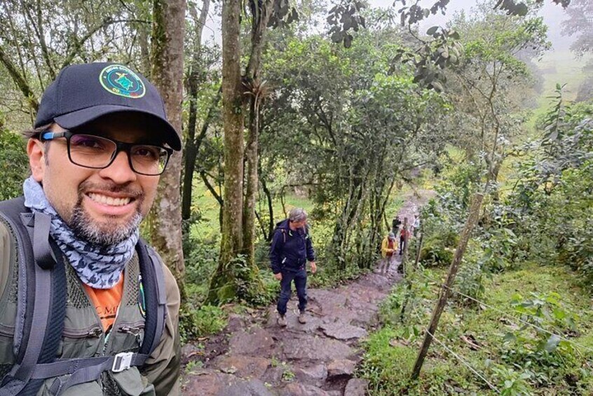 A person hiking on a forest trail surrounded by trees. 3