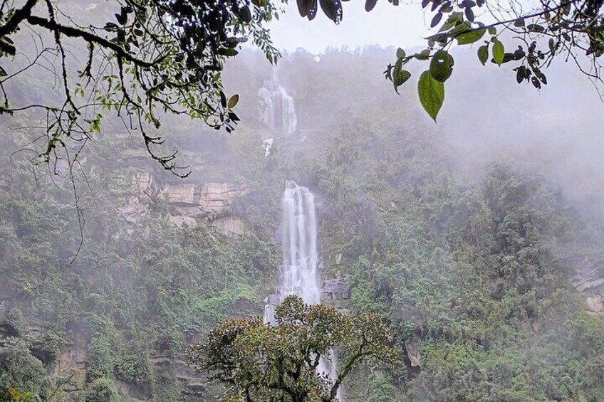 A waterfall in a forested area. 1
